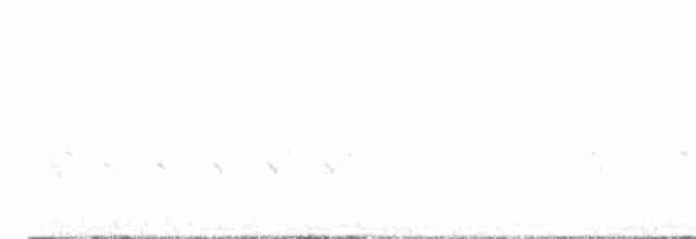 Шишкар ялиновий - ML618291207