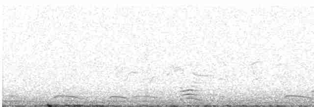 holoubek mexický - ML618291834