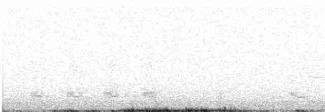 Кактусовый дятел - ML618291968