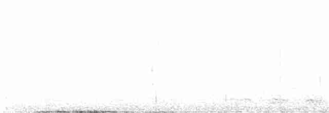 Trogon élégant - ML618294775