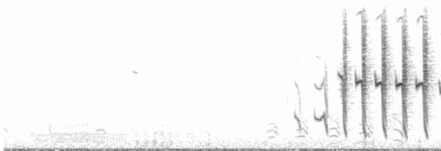 svartbukmaursmett - ML618295282