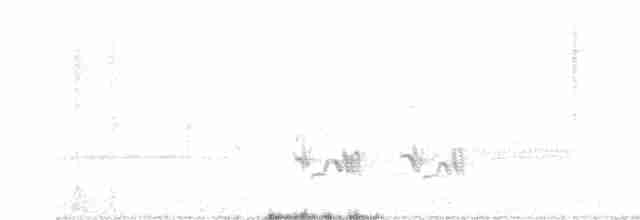drozdec hnědý - ML618298837