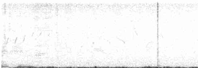 Чернозобая овсянка - ML618299536