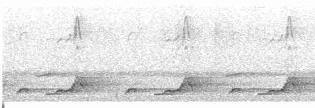 Schwarzkehl-Nachtschwalbe - ML618300254