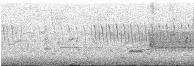Troglodyte des marais - ML618300749