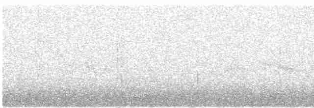 Североамериканская ласточка - ML618301825