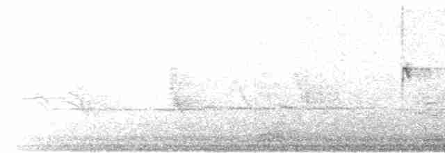 גיבתונית לבנת-גרון - ML618301970