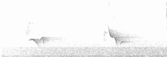 Сероголовый виреон - ML618302454