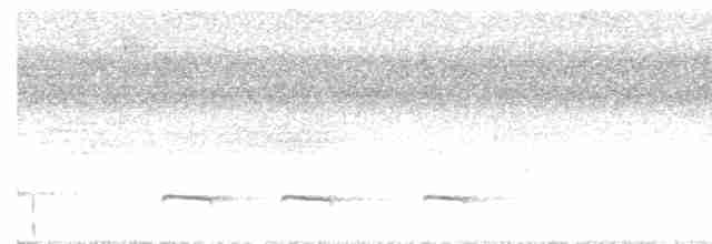 Graubrust-Ameisendrossel - ML618302525