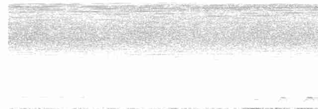 Lattice-tailed Trogon - ML618302539