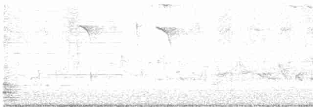 Prairie Warbler - ML618303114