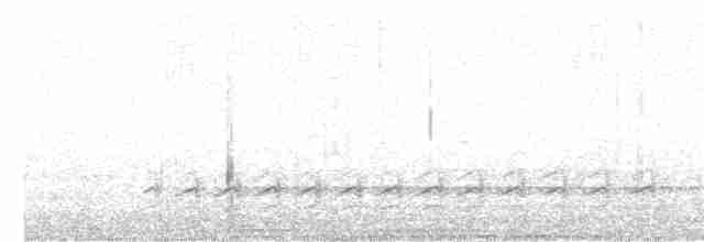 Weißbrustkleiber - ML618304917