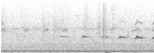 Chaparralgrasmücke - ML618305191