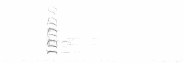 aratinga černohlavý - ML618305249