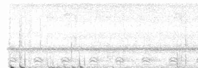 Аспиднохвостый трогон - ML618305642