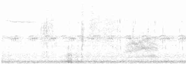 Chaparralgrasmücke - ML618305871