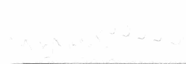 Каньонный крапивник - ML618307898
