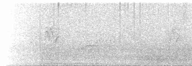 Дрізд-короткодзьоб Cвенсона - ML618308026