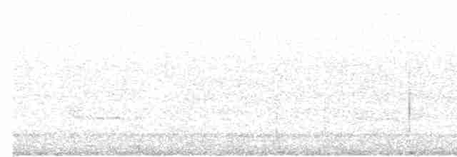 Common Redshank - ML618308149