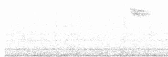 Weißbrauendrossel - ML618308185