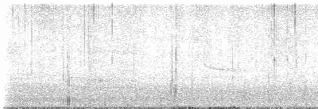 lesňáček modropláštíkový - ML618308621