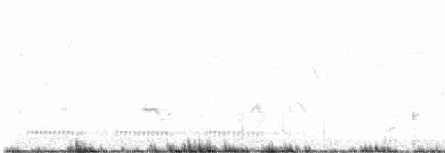 גיבתונית רוננת - ML618309311