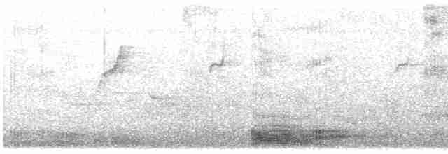 tykknebbkråke (levaillantii) (hindukråke) - ML618309369