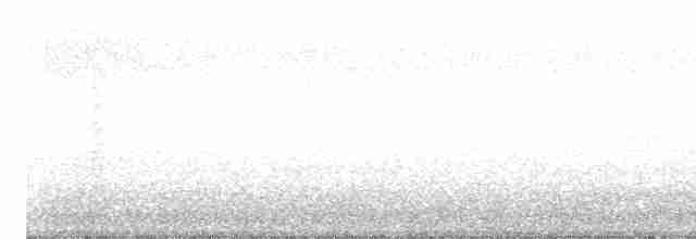 Gray Wagtail - ML618309762