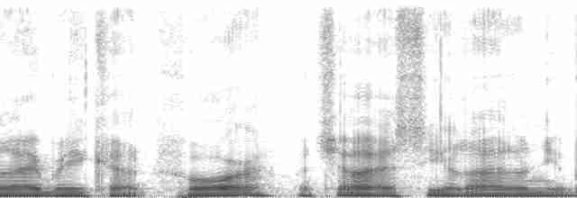 Çatal Kuyruklu Fırtınakırlangıcı (leucorhous) - ML61831