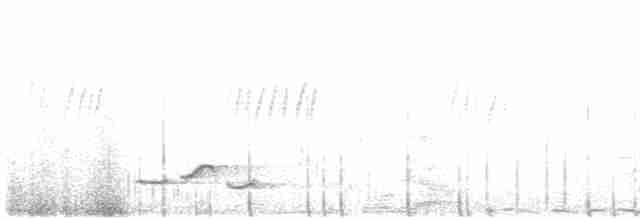 gråflankesigdtimal - ML618310401