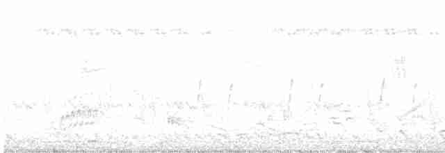 Белошейная веерохвостка - ML618310748
