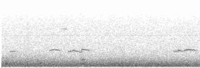 Чирок-свистунок (Евразийский) - ML618311629