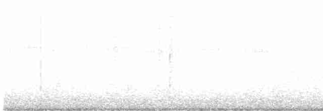 Rascón de Lord Howe - ML618314023