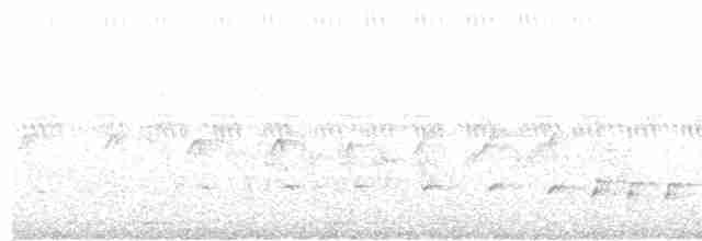 Орел-карлик малий - ML618314882