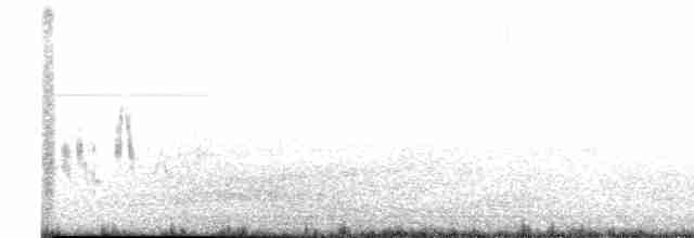 Western Black-eared Wheatear - ML618315070
