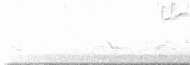 Brown-headed Cowbird - ML618315237