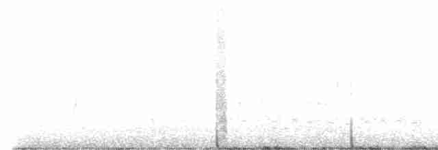 Серогрудый тиранн - ML618319200