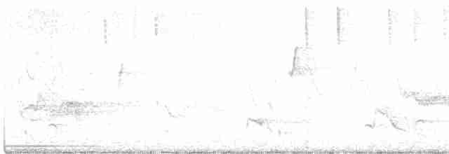 Cerulean Warbler - ML618319210
