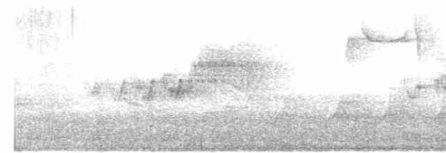 Cerulean Warbler - ML618320047