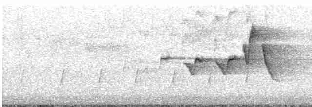 Paruline à capuchon - ML618320101