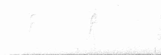 Длиннохвостый крапивник - ML618320355