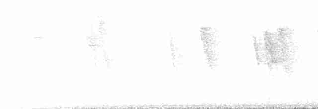 Büyük Kiskadi Tiranı - ML618320367