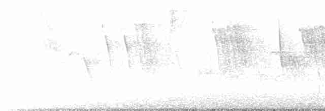 Büyük Kiskadi Tiranı - ML618320368