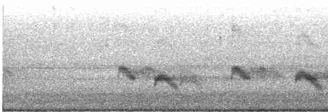 Büyük Mor Kırlangıç - ML618320527