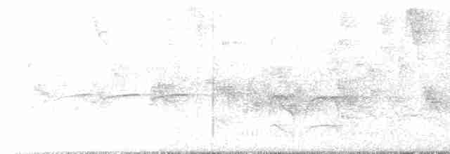 Büyük Kiskadi Tiranı - ML618320763