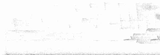 Червоїд золотокрилий - ML618321366