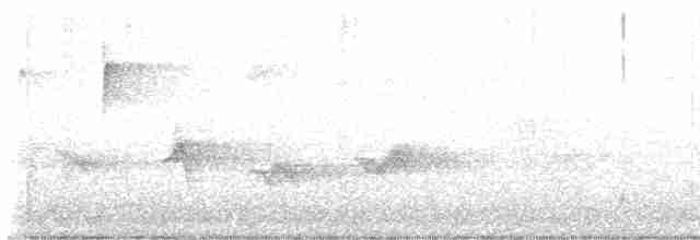 Kara Kanatlı Piranga - ML618321381