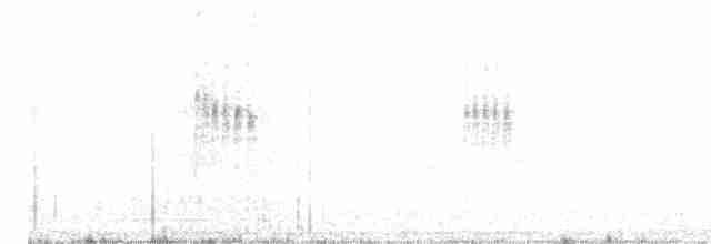 Graustirn-Dickichtschlüpfer - ML618321812