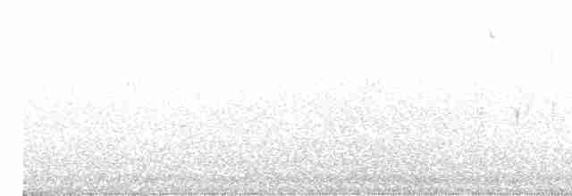 Weißbrust-Ameisenwürger - ML618322147