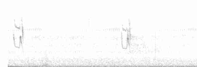Graustirn-Dickichtschlüpfer - ML618322177